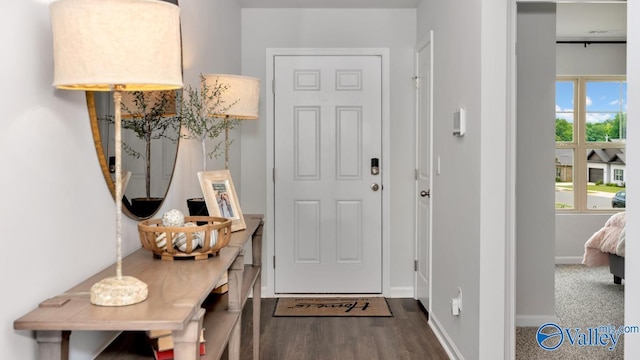 entryway featuring dark hardwood / wood-style floors