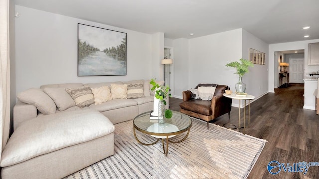 living room with dark hardwood / wood-style flooring