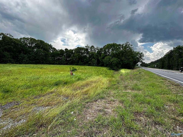 12690 US Highway 78, Riverside AL, 35135 land for sale