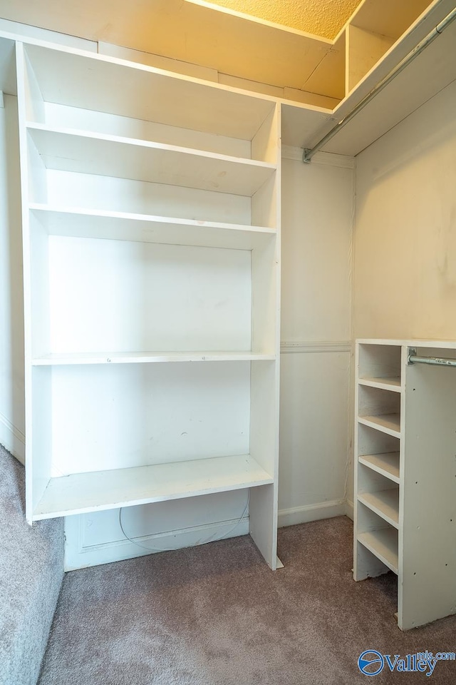 walk in closet featuring carpet flooring