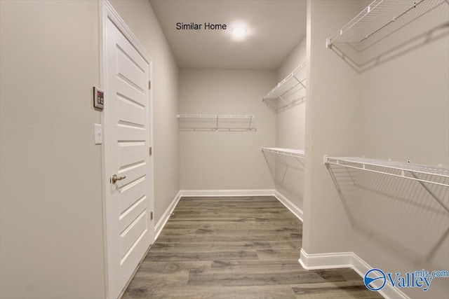 spacious closet featuring wood-type flooring