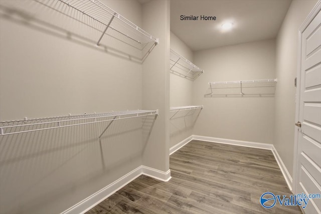 spacious closet with wood-type flooring