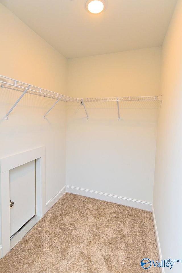 walk in closet with carpet