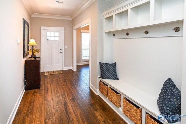 mudroom with visible vents, baseboards, dark wood-style flooring, and crown molding