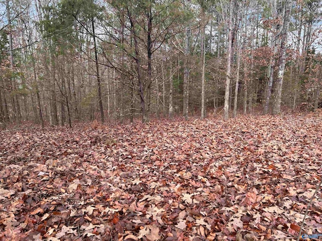 10AC Pennywinkle Creek Ln, Cherokee AL, 35616 land for sale