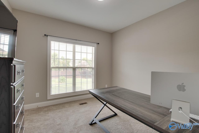 unfurnished office featuring a wealth of natural light and carpet