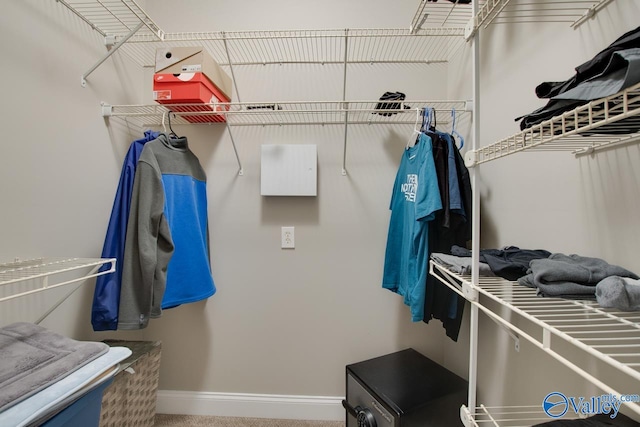 spacious closet with carpet floors