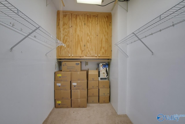 walk in closet featuring light colored carpet