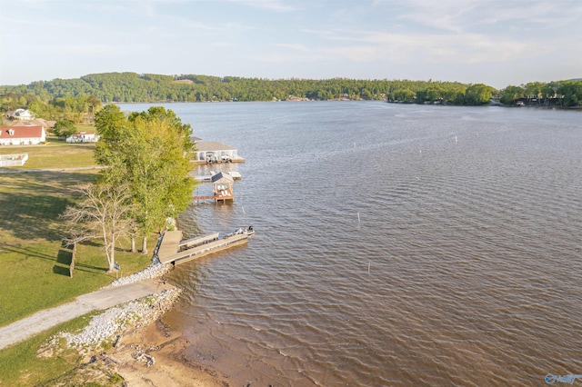 water view with a dock