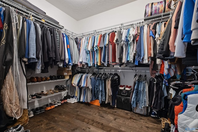 spacious closet featuring wood finished floors
