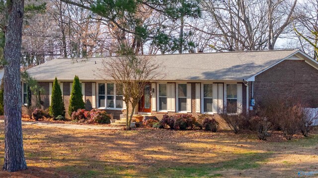 single story home featuring a front lawn