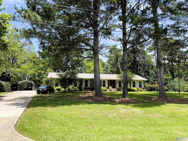 view of front of home featuring driveway, a carport, and a front yard