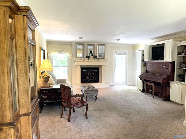 living area featuring ornamental molding and a healthy amount of sunlight