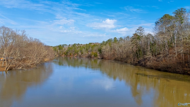 property view of water featuring a forest view