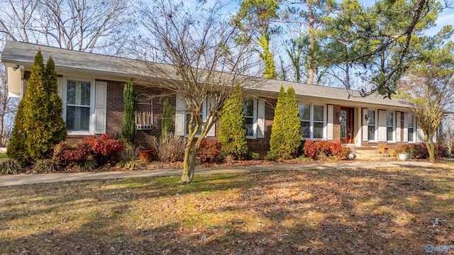 ranch-style house featuring a front yard and brick siding