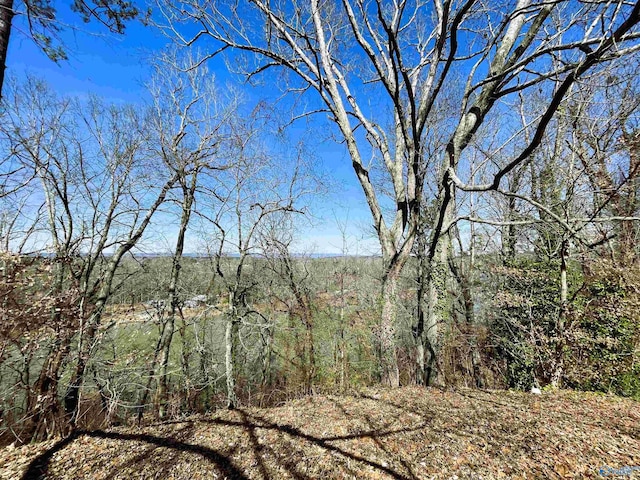 view of local wilderness
