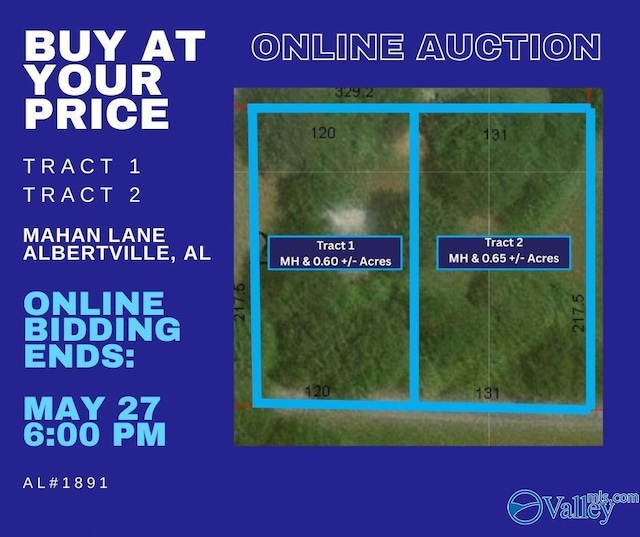 160 Mahan Rd, Albertville, AL 35950
