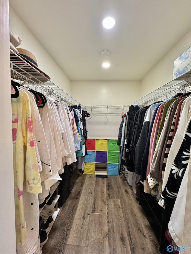 spacious closet with hardwood / wood-style floors