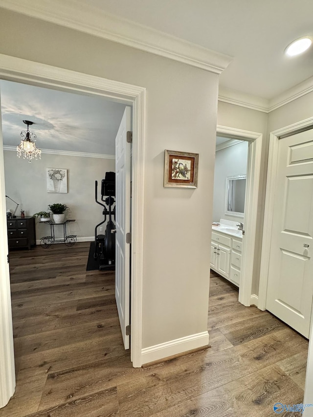 hall featuring crown molding and hardwood / wood-style floors