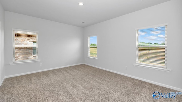 empty room with carpet floors and a healthy amount of sunlight