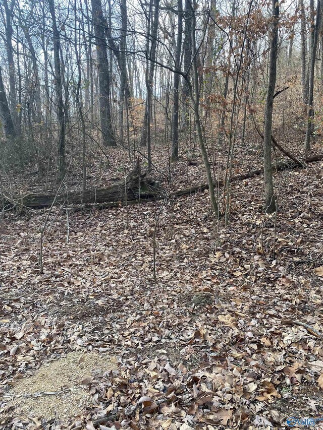 123456 County Road 121, Fort Payne, AL 35968