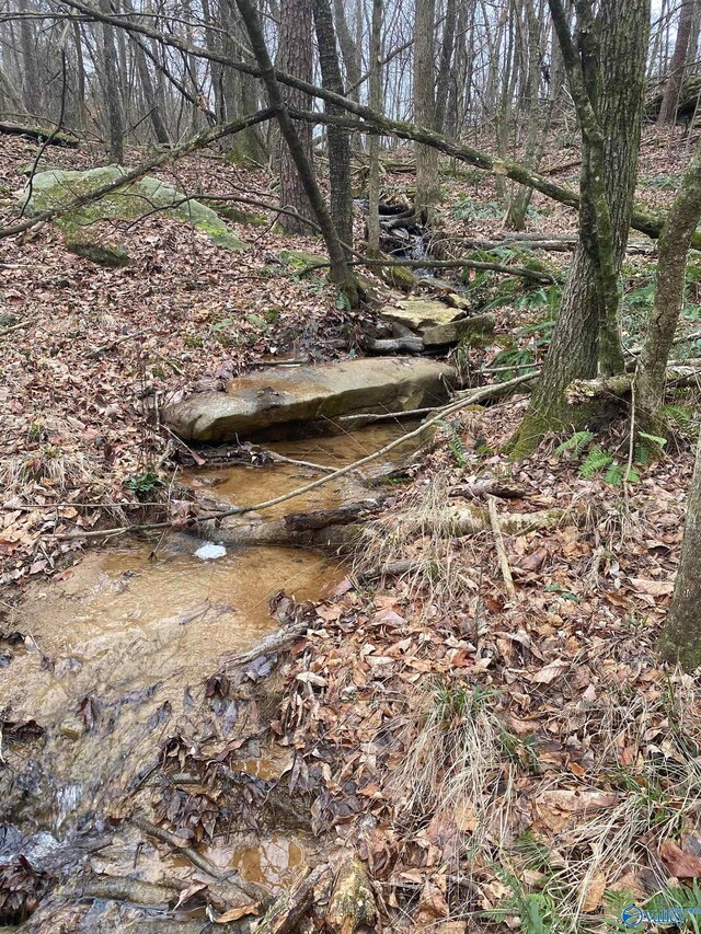 123456 County Road 121, Fort Payne, AL 35968