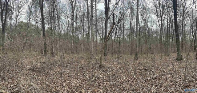 123456 County Road 121, Fort Payne, AL 35968