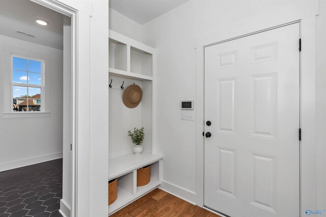 mudroom with dark wood-type flooring