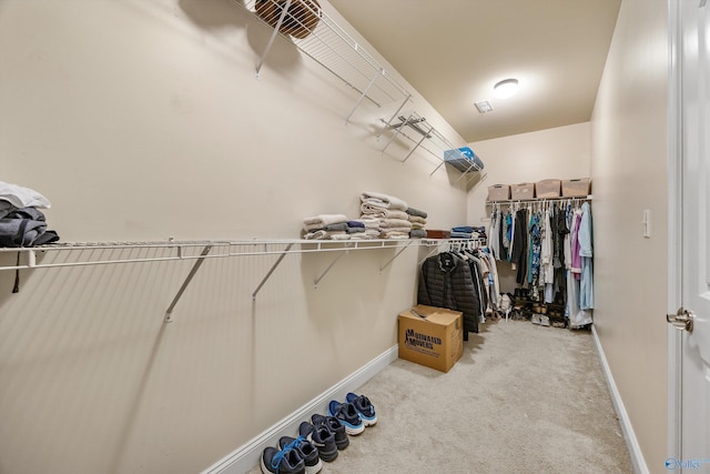 105 Cherrywood Dr, Madison, AL 35756 - spacious closet with carpet flooring