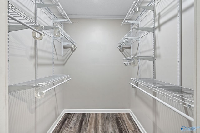 spacious closet featuring hardwood / wood-style flooring