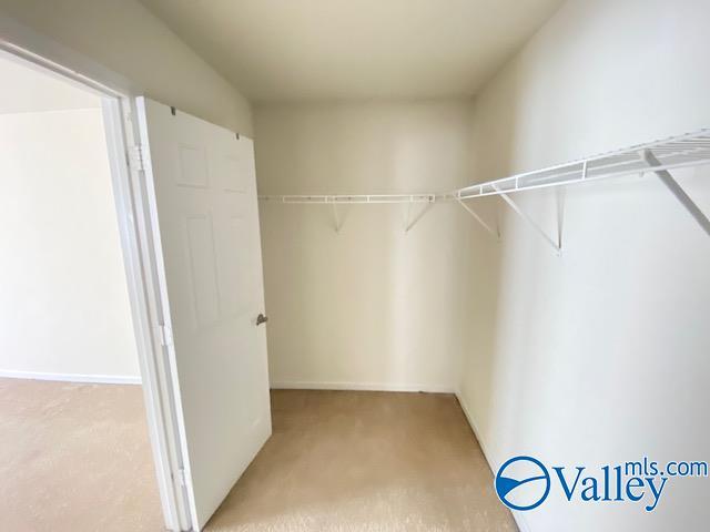 walk in closet featuring light carpet