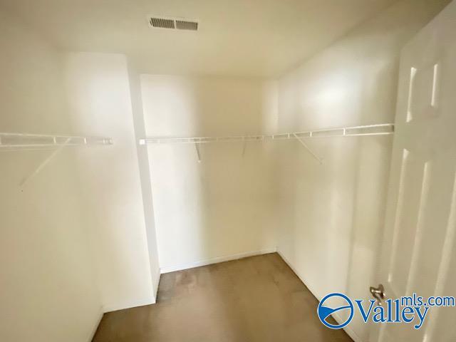 spacious closet with visible vents