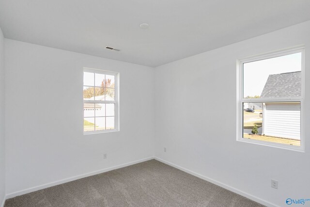 view of carpeted spare room