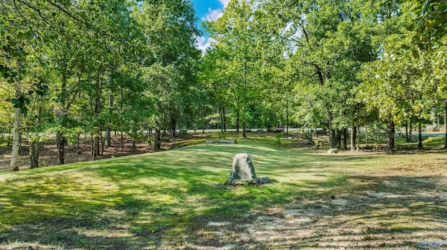 view of property's community with a yard