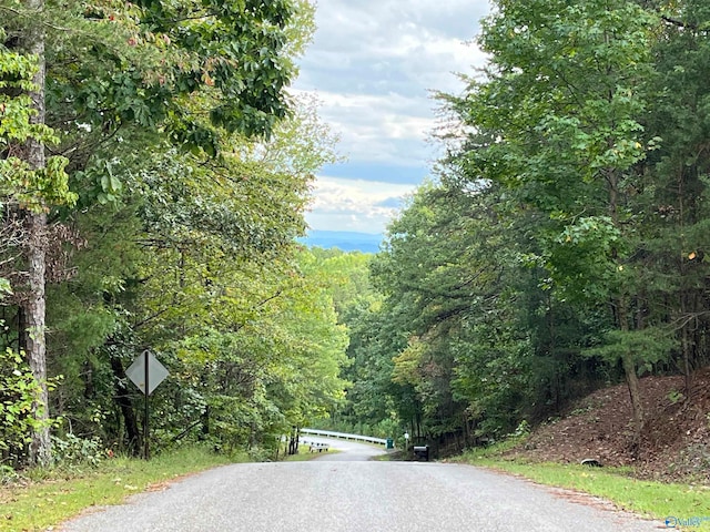 view of road