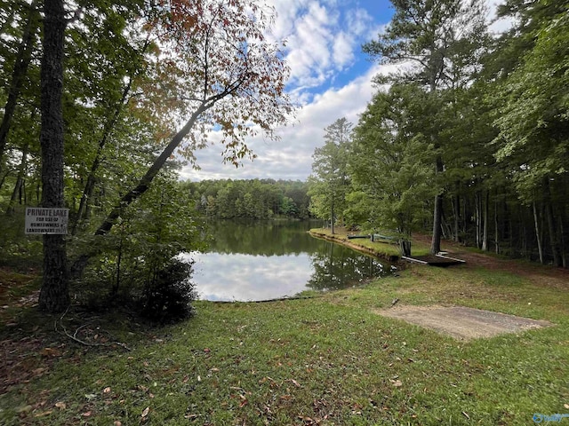 property view of water