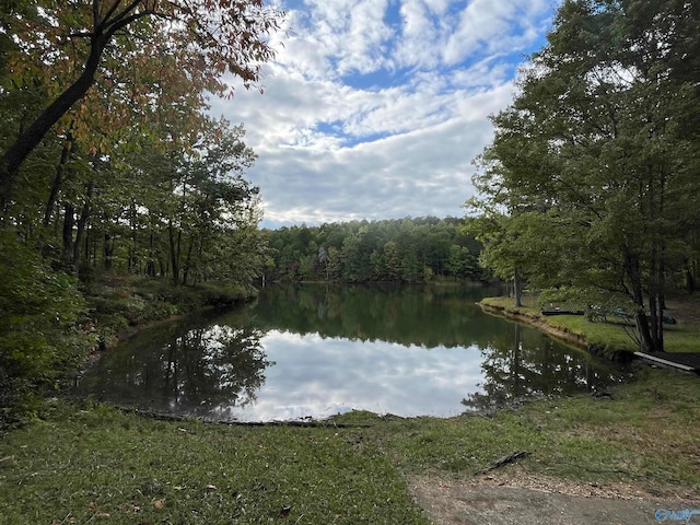 property view of water