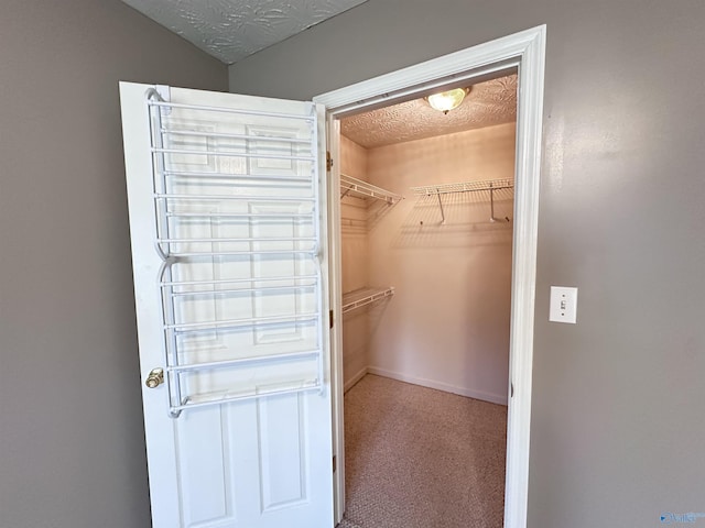 203 Lincoln Ave, Muscle Shoals, AL 35661 - walk in closet featuring carpet