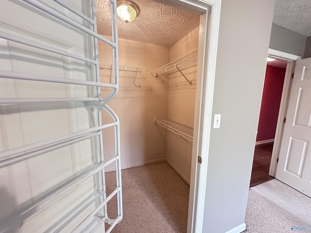 203 Lincoln Ave, Muscle Shoals, AL 35661 - walk in closet with carpet flooring