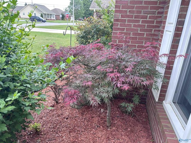 203 Lincoln Ave, Muscle Shoals, AL 35661 - view of green lawn