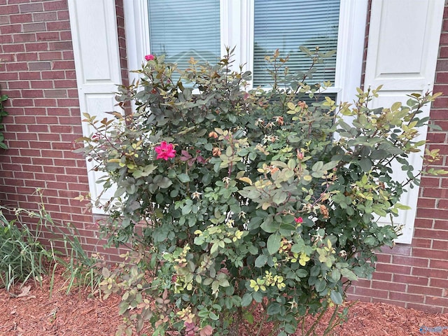 203 Lincoln Ave, Muscle Shoals, AL 35661 - exterior view of brick siding