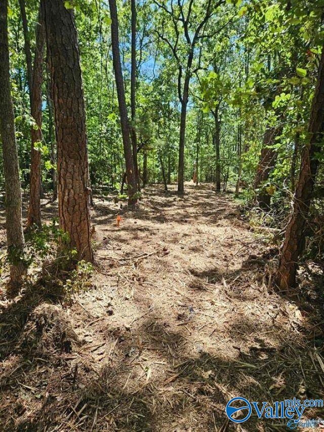 Listing photo 3 for LOT68 County Road 608, Cedar Bluff AL 35959