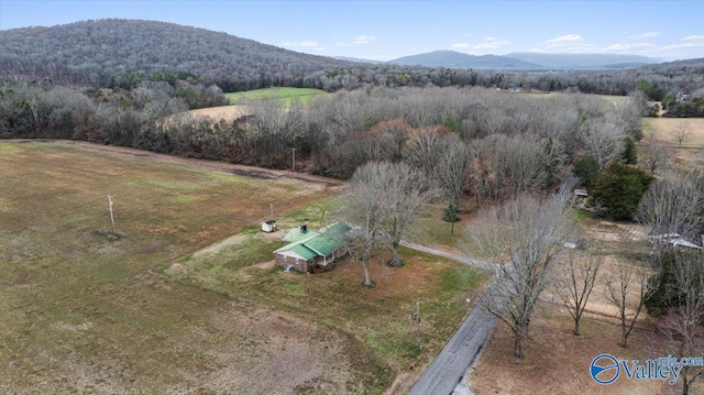 birds eye view of property featuring a mountain view