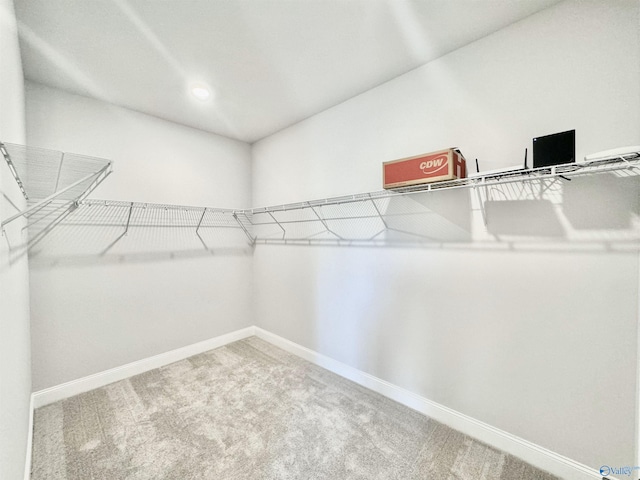 spacious closet featuring carpet flooring