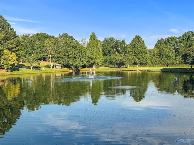 property view of water