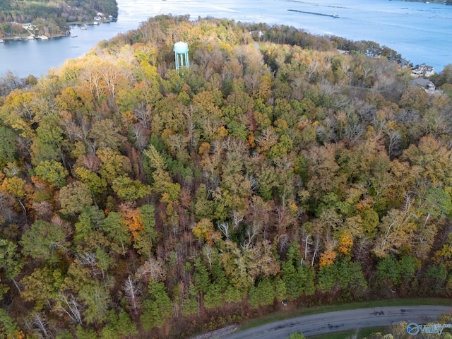 LOT110 Lookout Mountain Dr, Scottsboro AL, 35768 land for sale