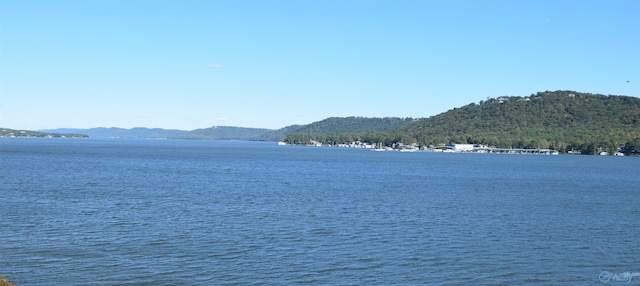 water view featuring a mountain view
