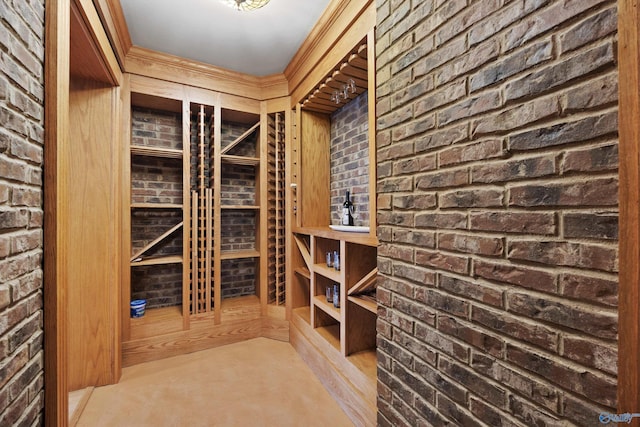 wine room with light colored carpet and brick wall