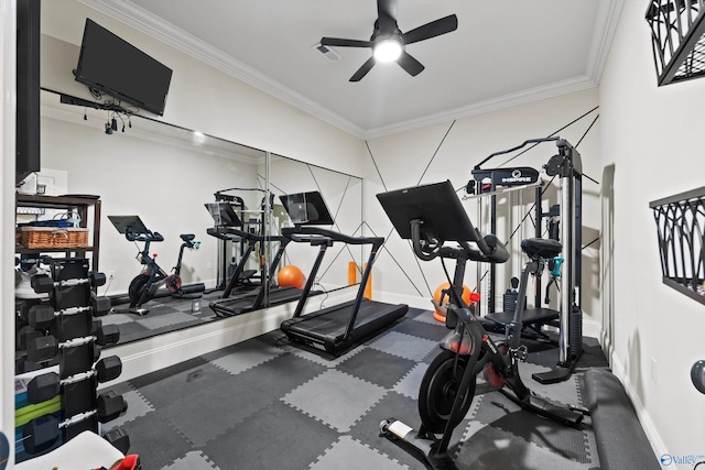 workout area with crown molding and ceiling fan