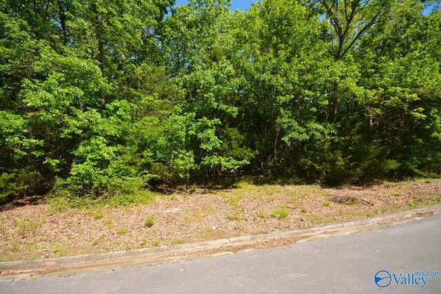 Listing photo 3 for LOT31 Burlington Dr, Huntsville AL 35803